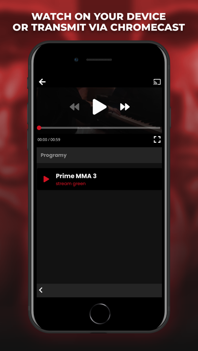 Prime MMA Player Screenshot