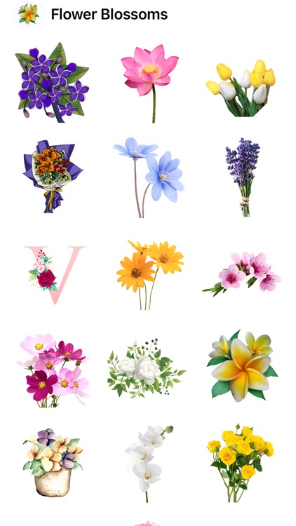 Flower Blossom Stickers HD