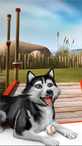 Game screenshot Pets Rescue World apk