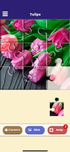 Tulip Love Puzzle screenshot #1 for iPhone