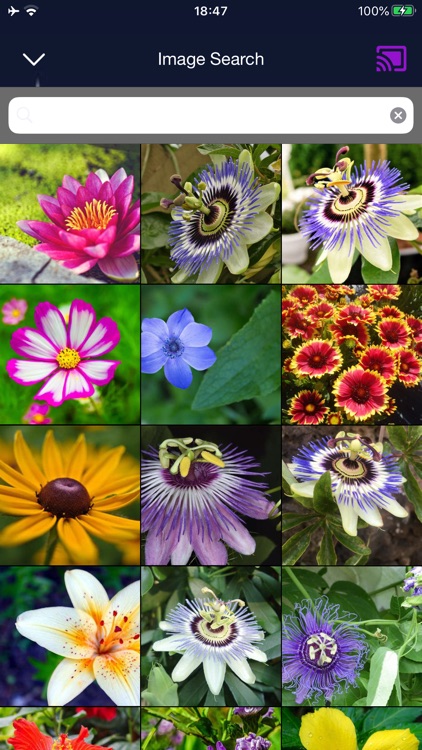 Mirror Smart Screen: Tv Cast