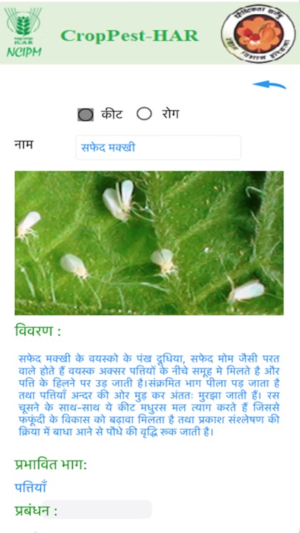 crop pest haryana screenshot-4