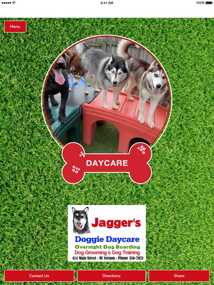 Jaggers Doggie Daycare