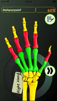 hand bones: speed anatomy quiz problems & solutions and troubleshooting guide - 1
