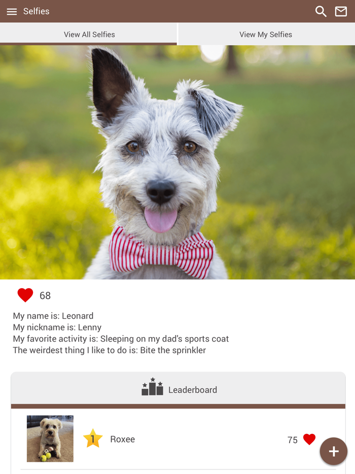 Bayonne Animal Hospital