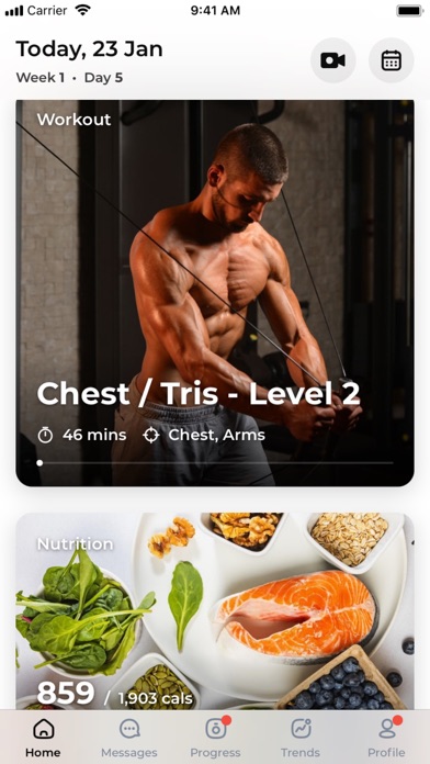 Shred 6 Screenshot