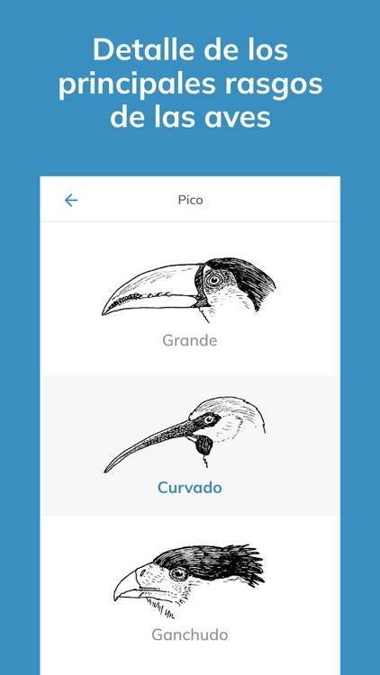 Aves argentinas screenshot-3
