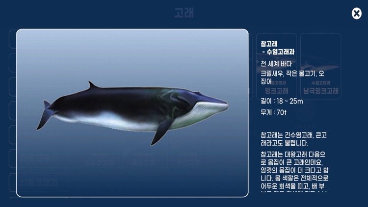 메타울산-라이프온장생포 screenshot-8