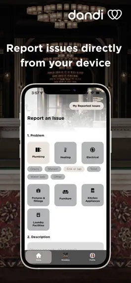 Game screenshot Dandi hack