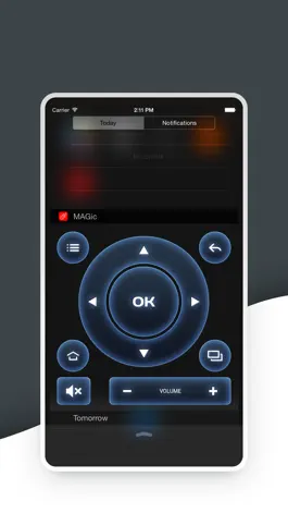 Game screenshot MAGic Remote TV remote control apk