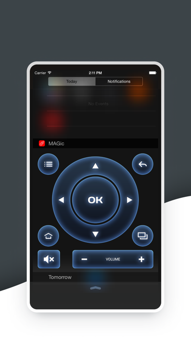 Screenshot #2 pour MAGic Remote TV remote control