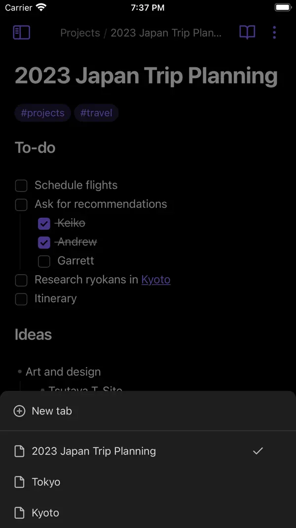 Obsidian - Connected Notes Screenshot 7