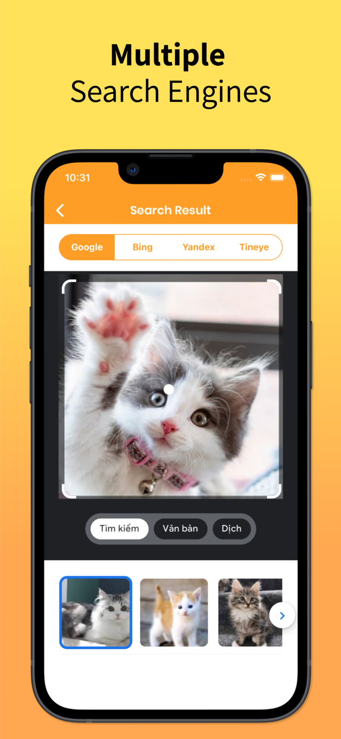 Reverse Image Search Find Tool