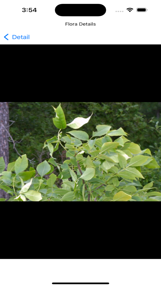 #6. NCTrees (iOS) 게시자: Brian Stewart