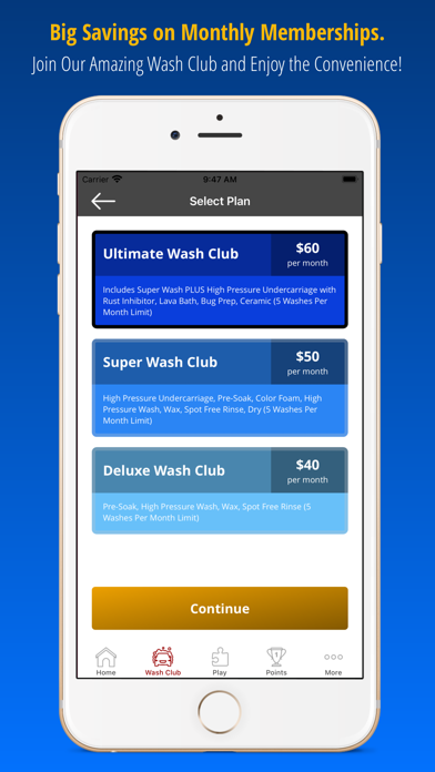 The Gallatin Car Wash Screenshot