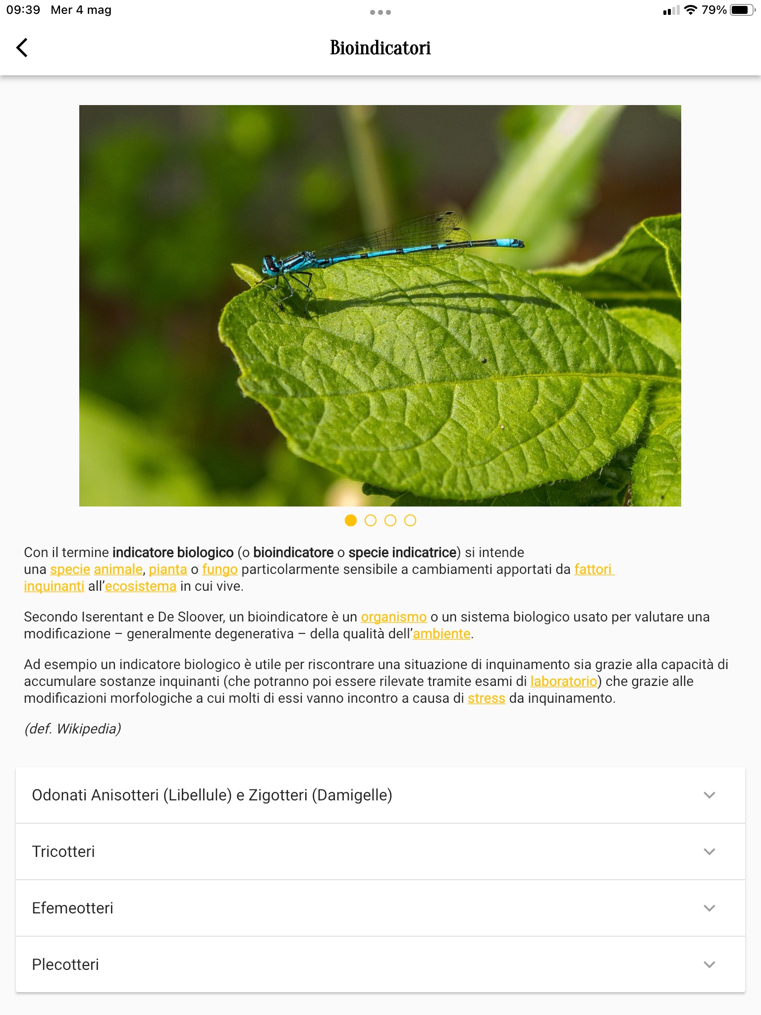 BioExplorer screenshot 3