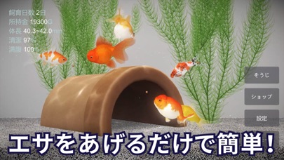 金魚育成アプリ「ポケット金魚」 screenshot1