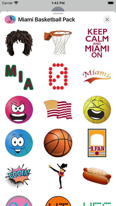 Miami Basketball Pack Screenshot