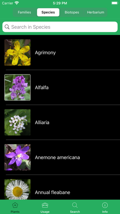 Mobile Flora - Wild Flowers Screenshot