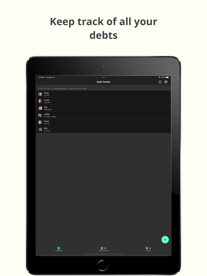 Debt Tracker - Debt payoff