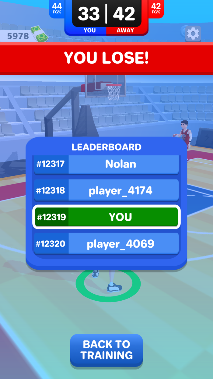 My Basketball Career