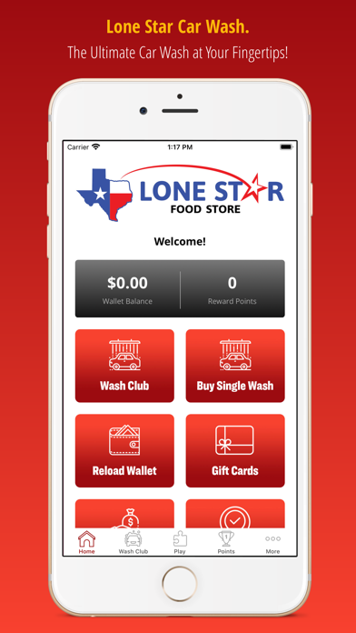 Lone Star Car Wash Screenshot