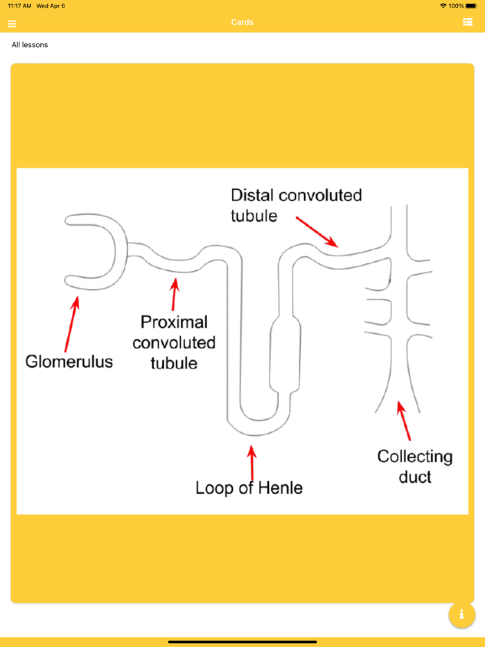 GCSE Biology Flashcards