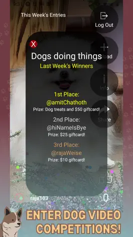 Game screenshot PrimeTime Dog Club mod apk