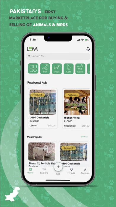 LSM Pakistan Screenshot
