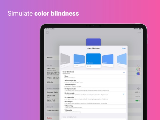 Contrasts - WCAG Colors iPad screenshot 3 - Graphics & Design app