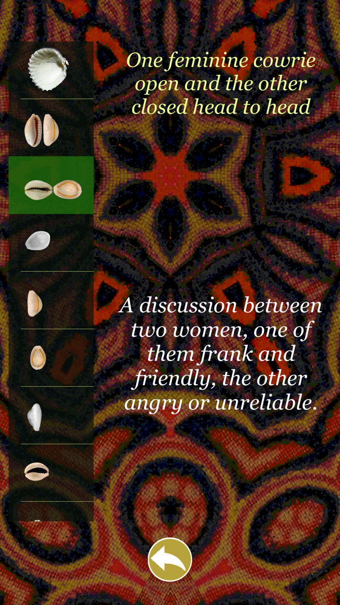 My divination cowrie shells