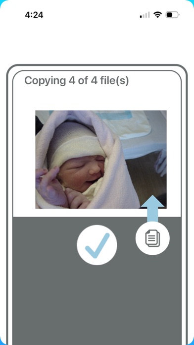 Screenshot #3 pour PhotoSaver Phone-to-Drive