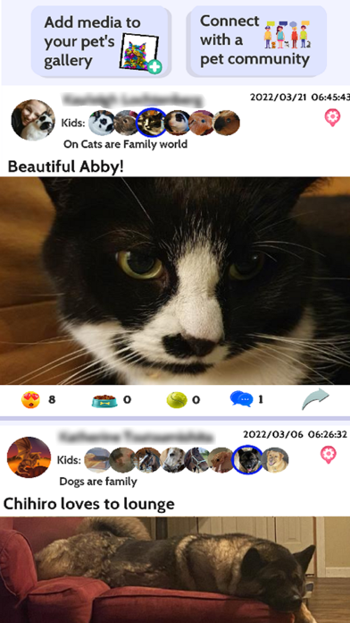 Licky- Social Media for Pets Screenshot