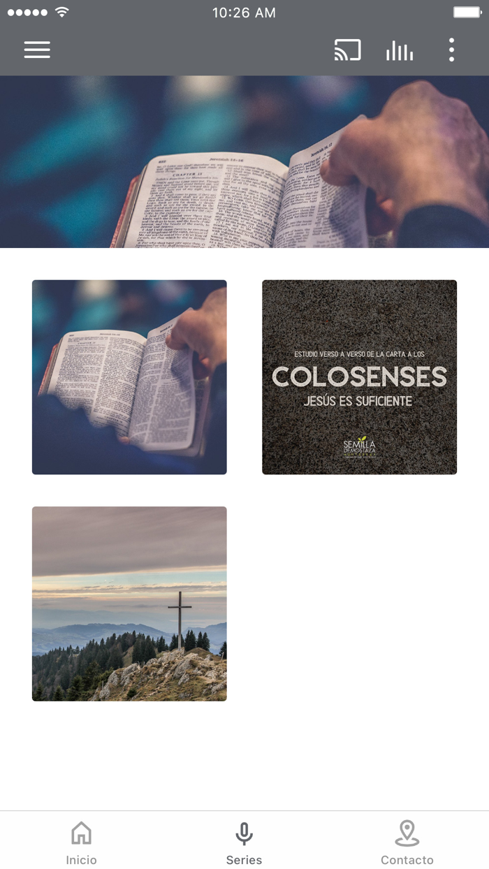 Semilla de Mostaza Monterrey