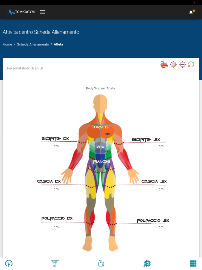 TOMKO GYM - Health and Wellness