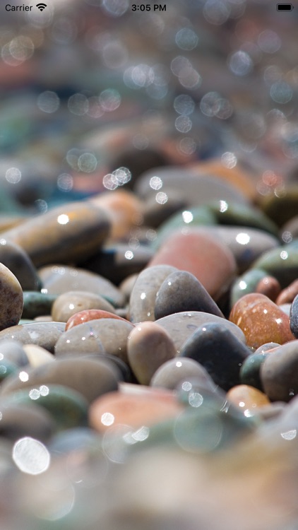 First Seacoast Bank Mobile