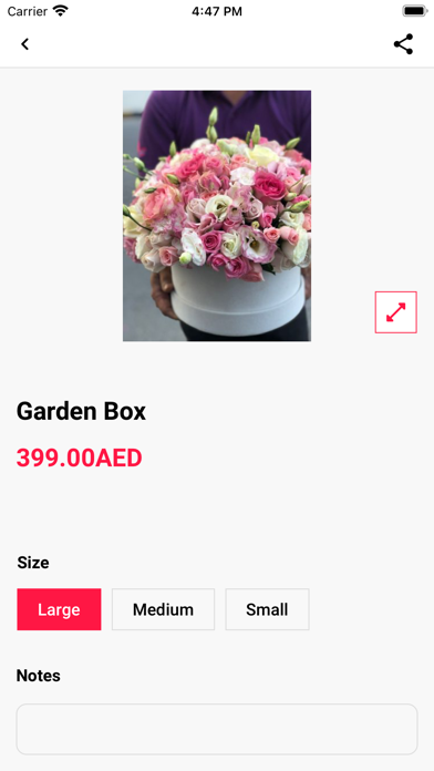 OLIVIA FLOWERS Screenshot