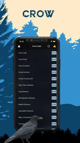 Game screenshot Crow Magnet - Crow Sounds mod apk