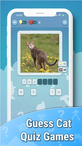 Game screenshot Quiz guess all cute cat breeds mod apk