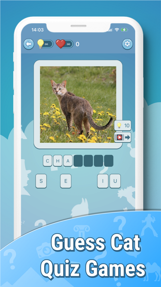 Quiz guess all cute cat breeds - 101091 - (iOS)