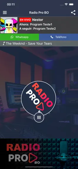 Game screenshot Radio Pro BO mod apk