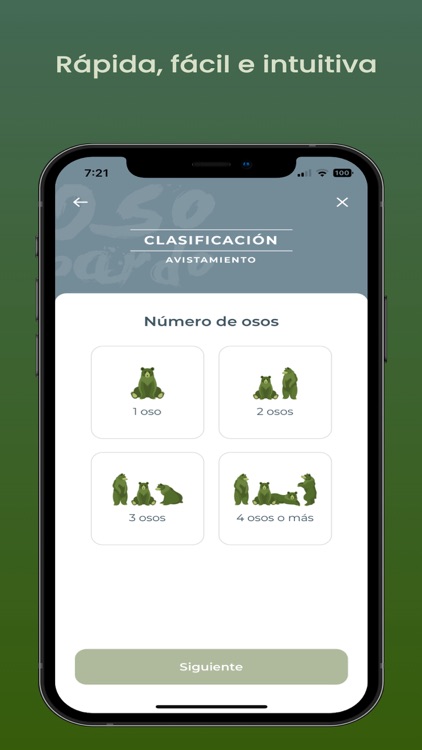 Meetingbears screenshot-4