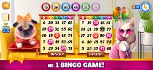 Pet Bingo: Bingo Game 2024 screenshot #1 for iPhone