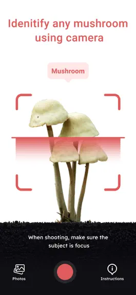Game screenshot USA Mushroom Identification mod apk