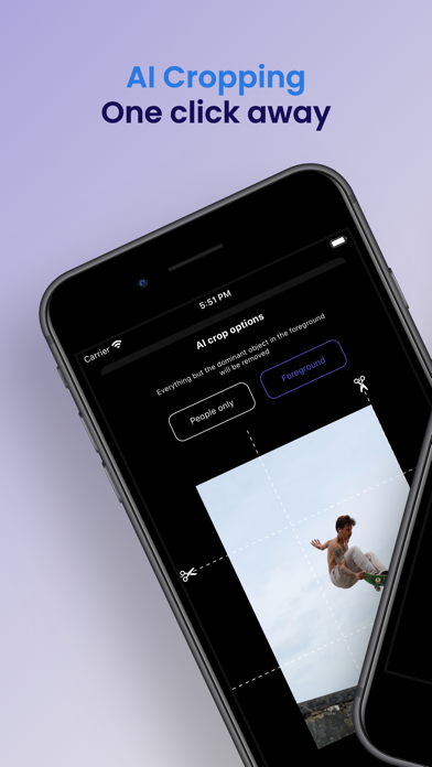 PhotoBitAI Screenshot