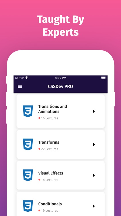 Learn CSS 3 Offline Now [PRO] screenshot-4