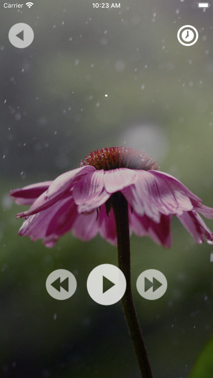 Dark Sky Relaxing Rain Sounds