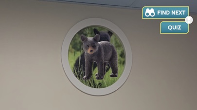Animal Quest HSHS Screenshot