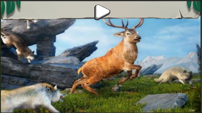 Wolf Game: Wild Wolf Simulator Screenshot