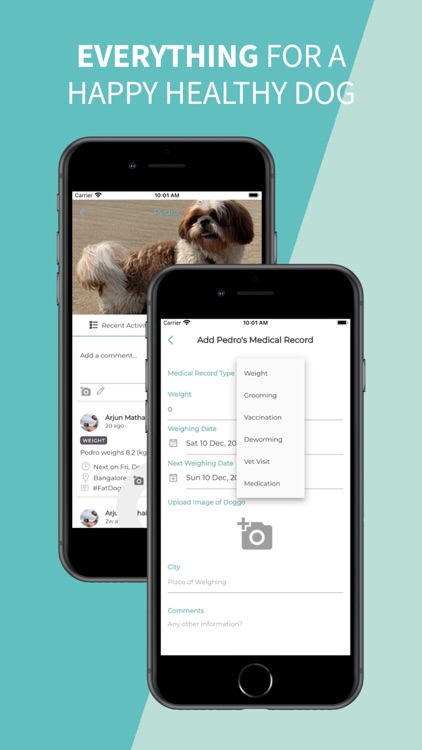 Waggle - Everything Doggo